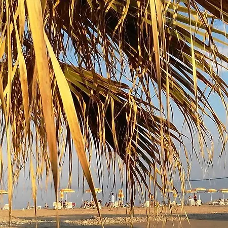 托雷萨拉切纳公寓式酒店 公寓式酒店 维拉皮亚纳